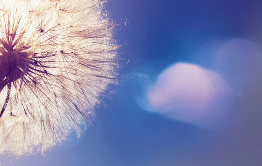 首页- 人生就是博中国官方网站